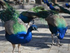 -南京金牛湖风景区
