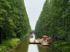 -黄海国家森林公园