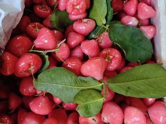 -老炳·七丛松甘草水果