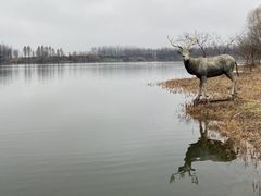 -溱湖国家湿地公园