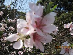 -上海市龙华烈士陵园