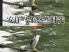 -西湖天地
