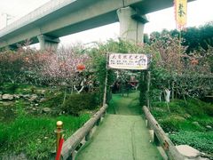 -秀丽东方