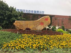 -芒洲湿地公园