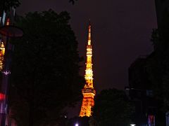 -涩谷区