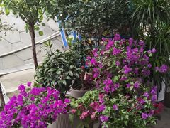 -小赖鱼馆