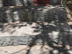 -金龙寺国家森林公园