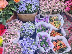 -三旗百汇商品城