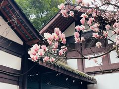 -成都杜甫草堂博物馆