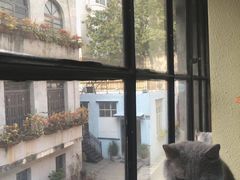 -more than meow吴止猫主题餐厅(承德 中船汇店)