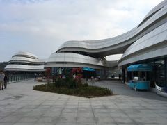 -野狸岛
