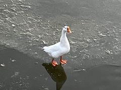 -迎泽公园