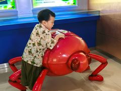 -上海昆虫博物馆