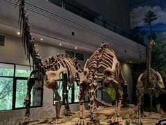 -自贡恐龙博物馆