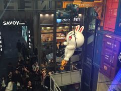 -line friends(明洞旗舰店)