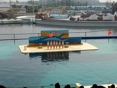 -秦皇岛乐岛海洋王国