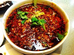 水煮牛肉-陈麻婆豆腐(旗舰店)