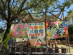 -杭州千岛湖开元度假村