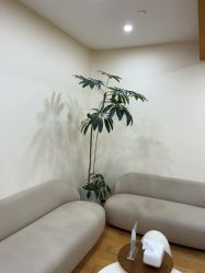 -HEYAN荷妍专业脱毛连锁机构