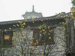 -国恩寺