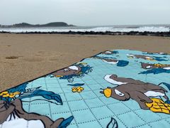 -漳州滨海火山岛自然生态风景区