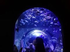 -成都浩海立方海洋公园