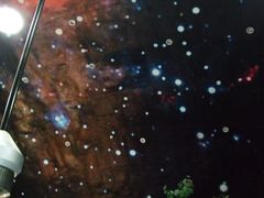 -中国地质大学逸夫博物馆