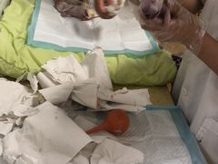 -北京佳信宠物医院