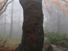 -庐山风景区花径公园
