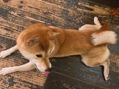 -三目仓咖啡(贤南路店)