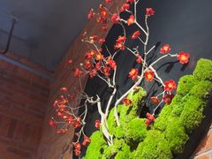 -鸽子窝(宋庄店)