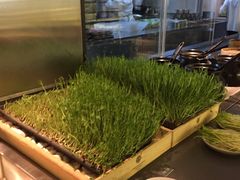 -夫妻肺片·中华老字号·正宗川菜(春熙路店)