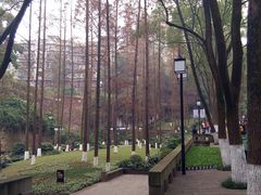 -忠山公园