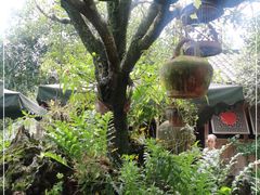 -青城甲(青城山店)