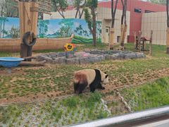 -秦皇岛野生动物园