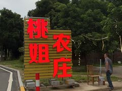 -桃姐农庄老字号(增城分店)