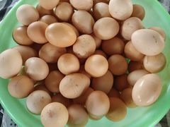 -马陆小张葡萄园农家乐