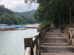 -广州市流溪河国家森林公园
