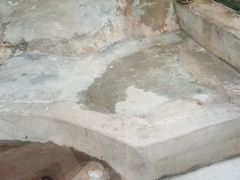 -广东茂名森林公园