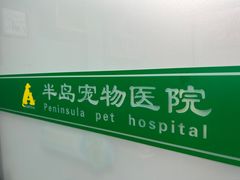-半岛宠物医院24小时(科华中路店)