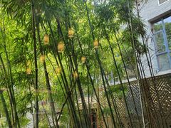 -一叶觅山(半边街店)