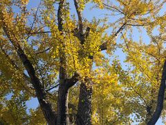 -重元寺香积厨素斋馆