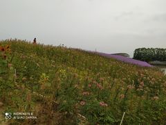 -迪茵湖田家舍生态农场