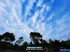 -宾湖农庄·农场特色(太湖龙之梦店)