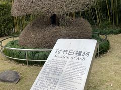 -苏州河梦清园环保主题公园