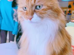 -平行世界·猫咖(首经贸店)