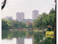 -晓港公园