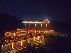 -上海市保健医疗中心