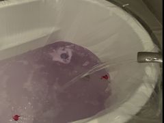 -上海柏悦酒店