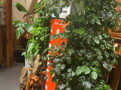 -草原塞蛮羊火锅城(港湾店)